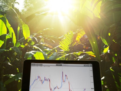 Loris zoppelletto forex trader