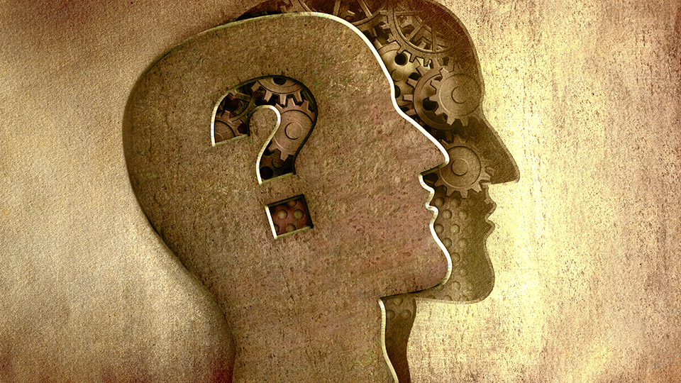 Bd forex mind